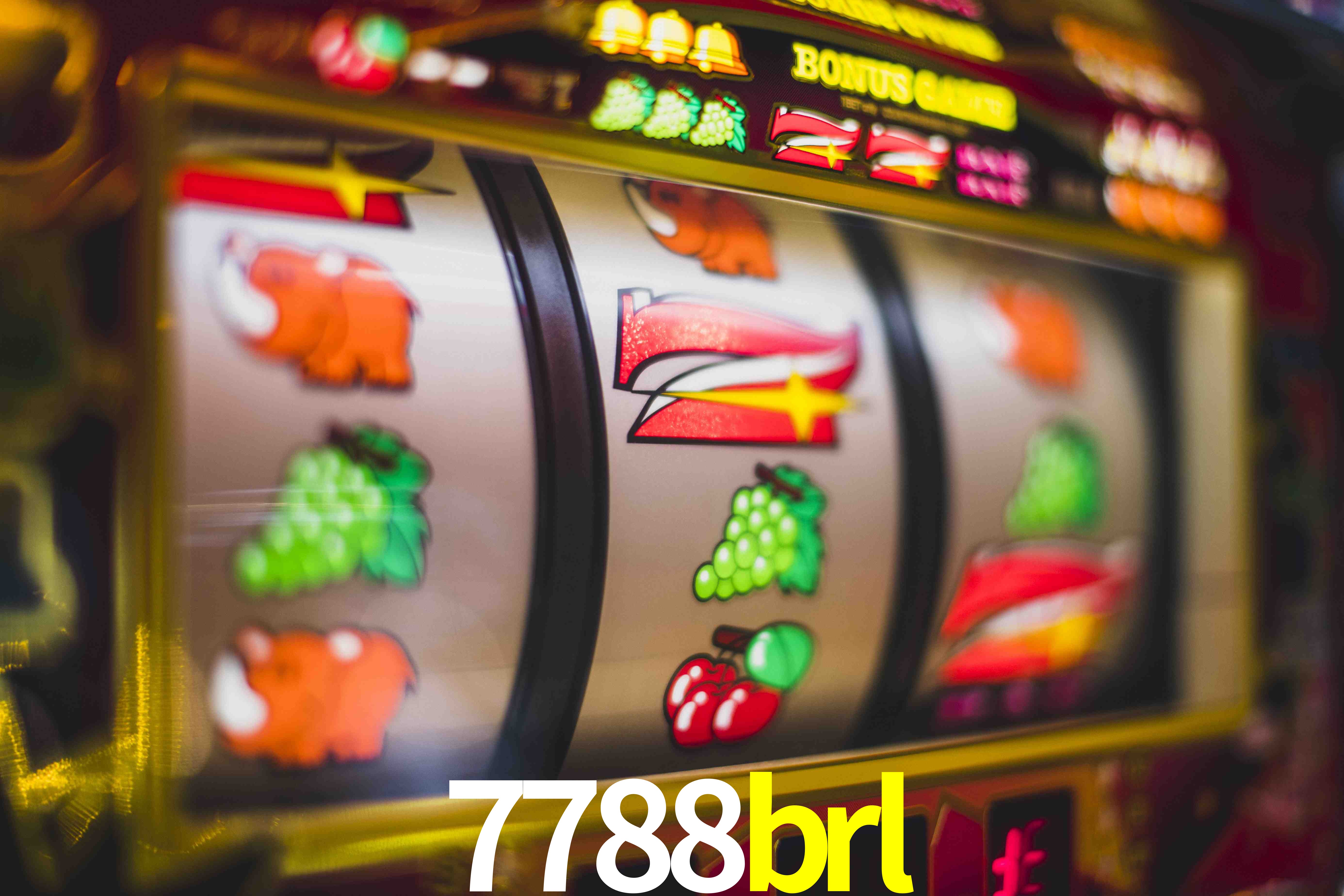 Tennis Betting 7788brl